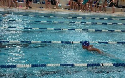 Article: La natation bien présente sur la Rive-Sud   