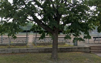 Longueuil va refaire le terrain de baseball du parc Lecavalier