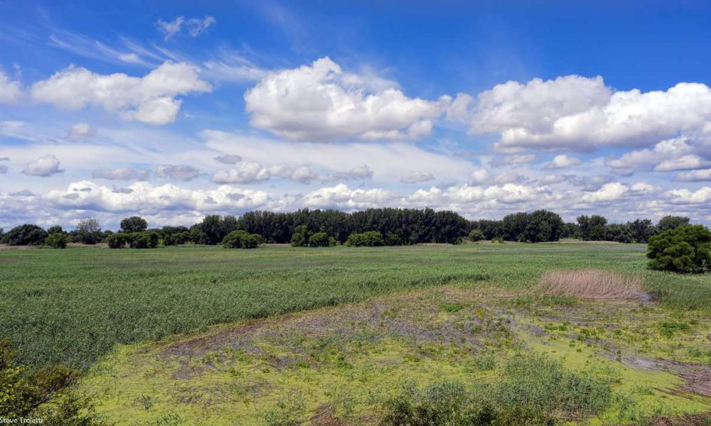 Battures Tailhandier