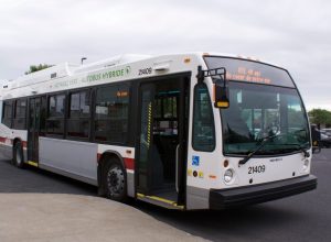 Bus gratuit en raison de l'affaissement d'une partie de la R 116