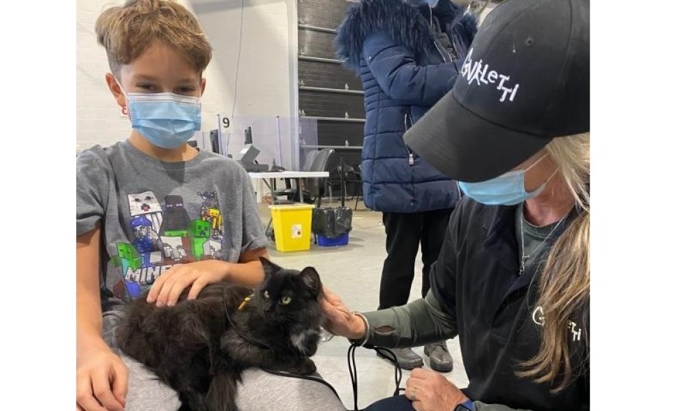 Un garçon rassuré par un chat avant qu’il ne reçoive son vaccin. Photo : Portail Santé Montérégie