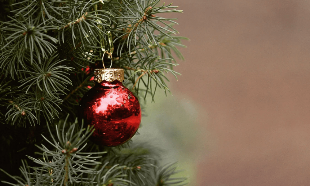 Sapin de Noël