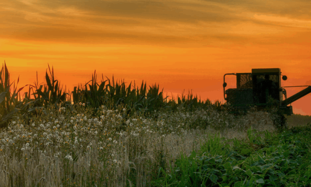 Capture d’écran 2020-03-03 à 11.18.03