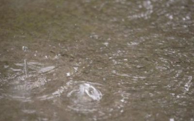 Un projet d’amélioration de la gestion des eaux pluviales à Sainte-Julie