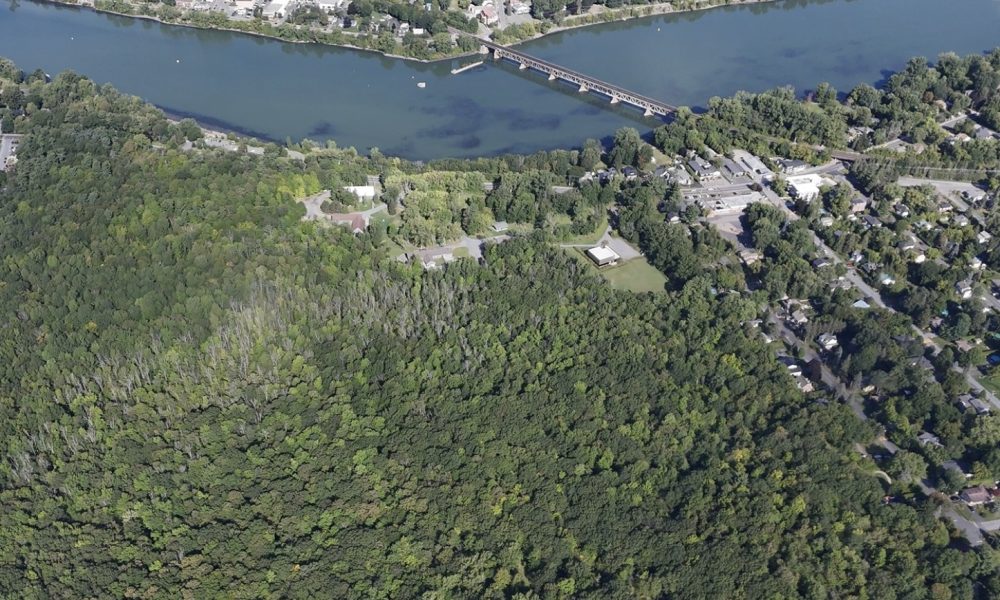 Otterburn Park acquiert un boisé d’intérêt pour une préservation