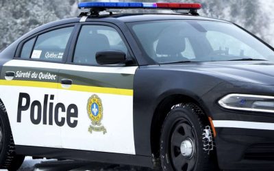 crime,organisé,arrêtés,importante,opération,perquisition,secteurs,Longueuil,mandats,cannabis,escouade,réseaux,intervention,infractions,suspects