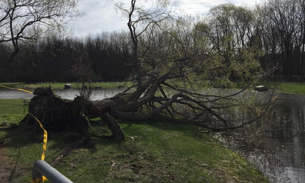 parc Michel-Chartrand