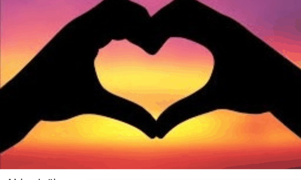 Capture d’écran, le 2019-02-10 à 17.00.29