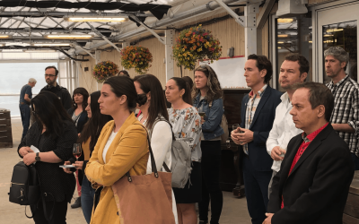 Capture d’écran, le 2019-06-11 à 19.40.37