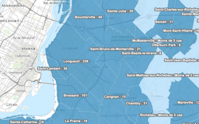 Capture d’écran, le 2020-04-10 à 16.52.11