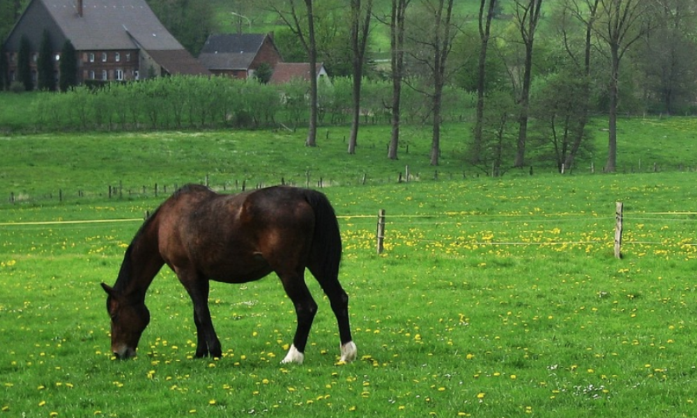 Voici le bilan de l'actualité de mai 2022