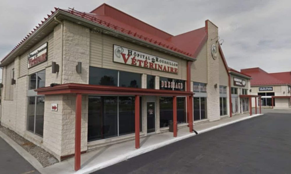 Les travailleurs de l’Hôpital vétérinaire Roussillon rejoignent la CSN