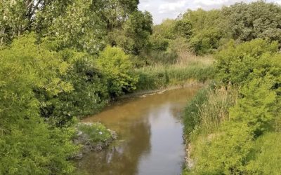 Des aménagements écologiques pour la biodiversité au parc Saint-Charles à Varennes
