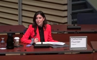 Photo: Capture d'écran