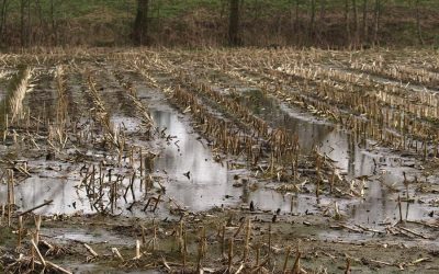 Près des deux-tiers des champs des agriculteurs membres de l'UPA ont été endommagés par l'eau. Photo: Pixabay