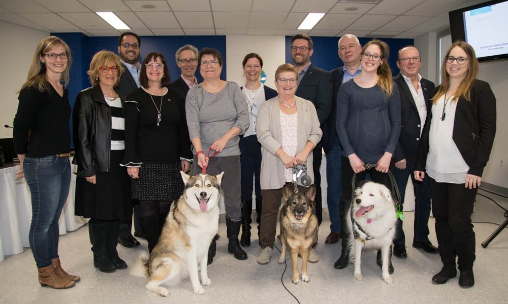 Beloeil relocalise son parc canin