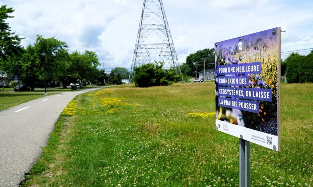 Un corridor de biodiversité pour la Ville de Sainte-Catherine