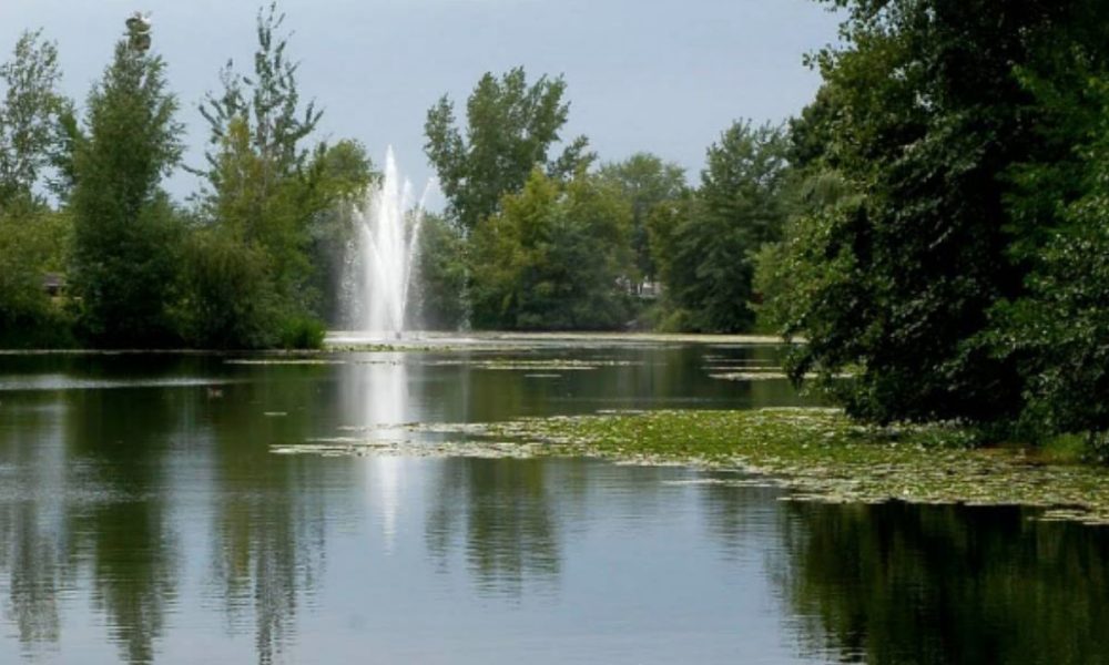 Photo : Capture d'écran