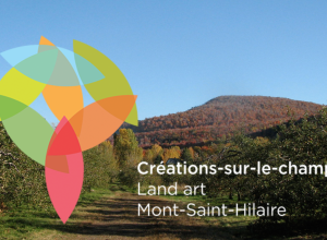 Photo: site Web de Créations-sur-le-champ/Land art