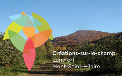 Photo: site Web de Créations-sur-le-champ/Land art