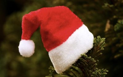 D82A7F91-AFF7-4E8A-99B8-CFC0355611E4