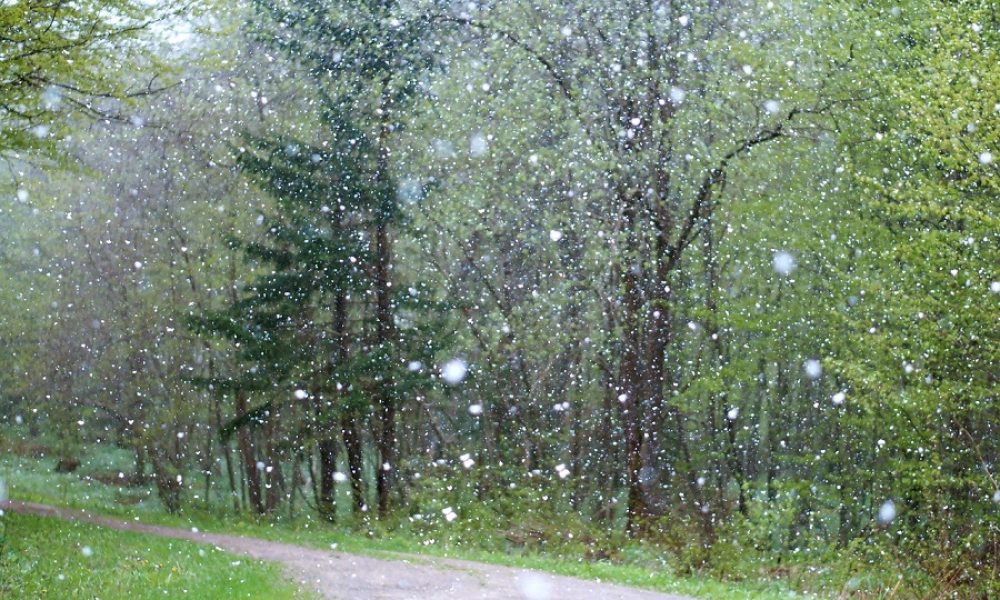 Les pluies torrentielles du 13 septembre ont causé des inondations et des refoulements d’égout à Boucherville. Photo : Pixabay