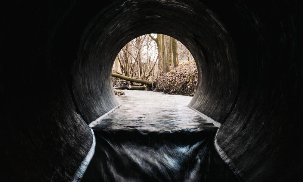 Photo: Facebook de la Fondation Rivières