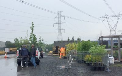 Saint-Bruno-de-Montarville offre 500 arbres à ses citoyens
