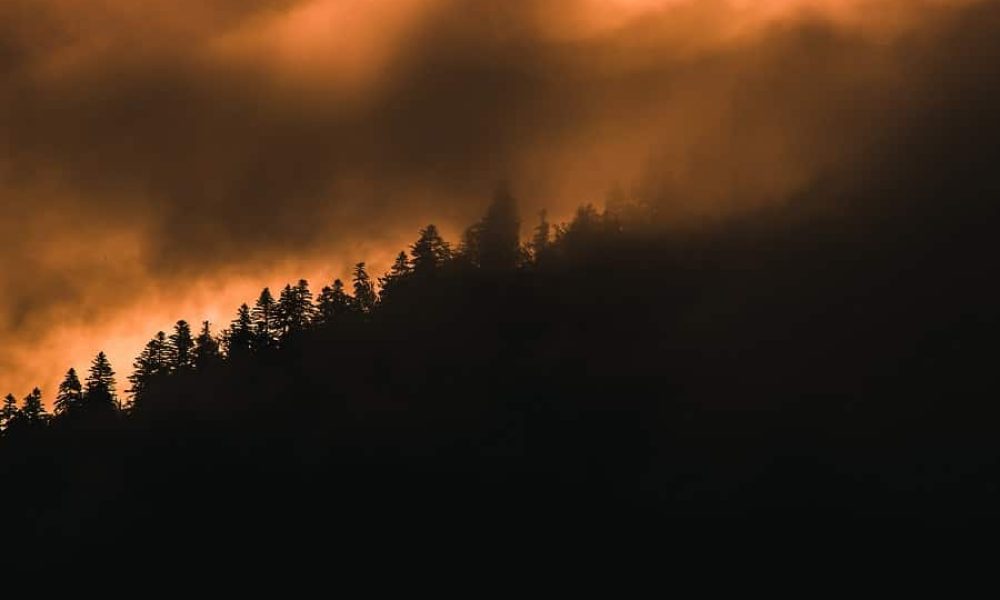 Photo: Facebook de la Direction de la Santé publique de la Montérégie