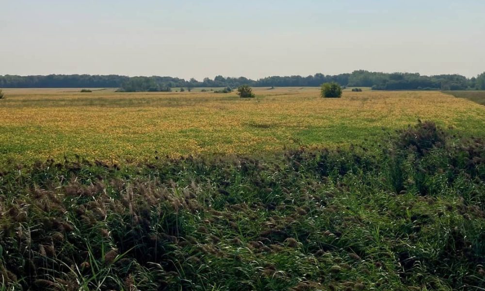 La Fiducie agricole UPA-Fondaction acquiert une terre agricole à Boucherville