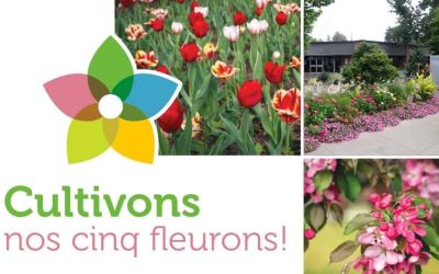Fleurons St Bruno