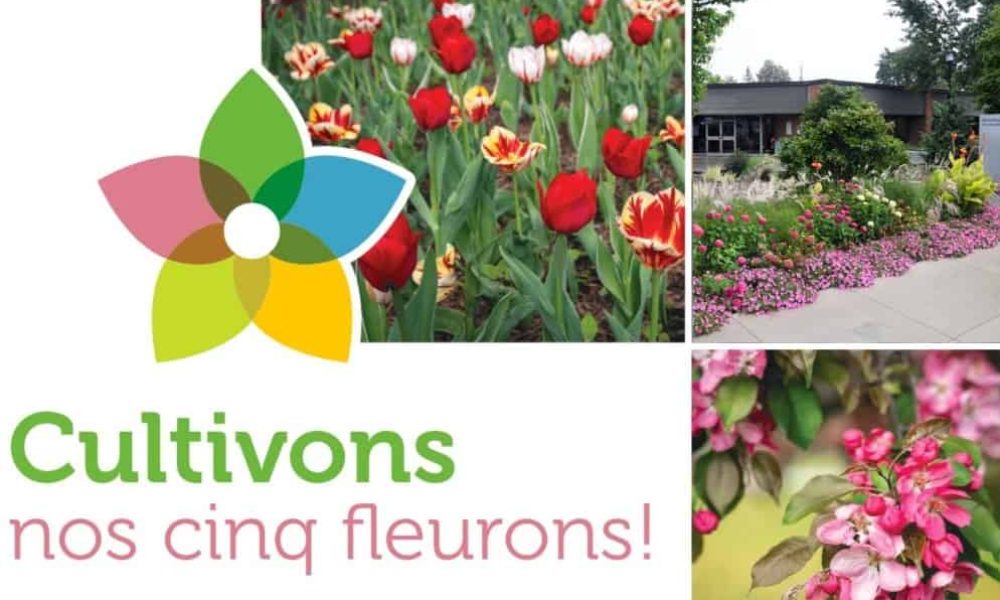 Fleurons St Bruno