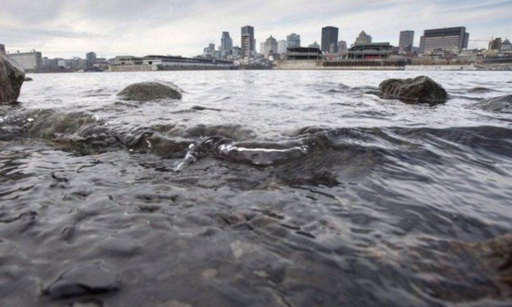 Le niveau de l’eau du Saint-Laurent exceptionnellement bas
