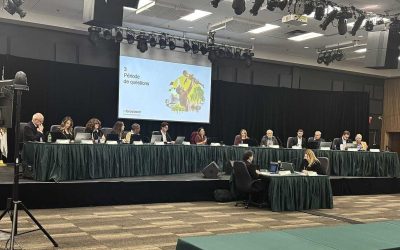 nouveau,fm1033,contrat,projet,parc,Brossard,dollars,ville,roches,poussières,offre,travaux,phase,dépenses,hauteur,conseillère,boisé,conditions