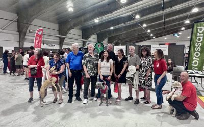 Brossard,journée,animal,événement,mairesse,compagnie,ville,édition,semaine,édition,aréna,exposants,produits,services,monde