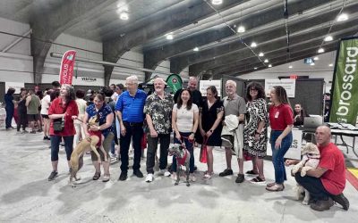Brossard,journée,animal,événement,mairesse,compagnie,ville,édition,semaine,édition,aréna,exposants,produits,services,monde