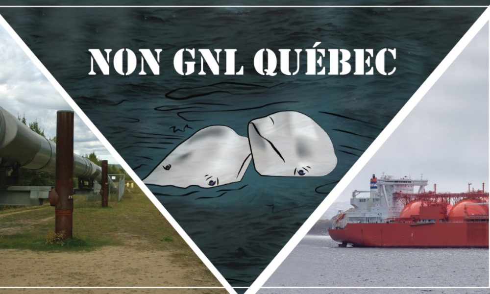 Source: Groupe partisan sur Facebook "Non à GNL Québec"