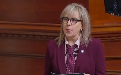 députée,Poulet,garderies,subventionnées,frais,garde,alarme,sonne,estime,enfants,argent,payer,avis,travailler,urgent,besoin,injustice,CAQ,impôt