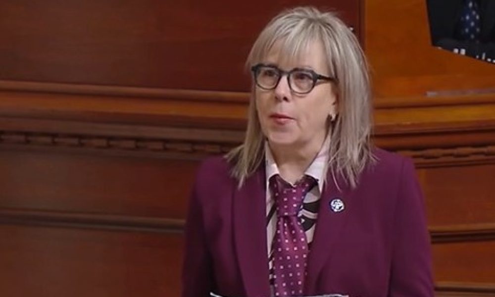 députée,Poulet,garderies,subventionnées,frais,garde,alarme,sonne,estime,enfants,argent,payer,avis,travailler,urgent,besoin,injustice,CAQ,impôt