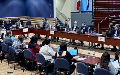 r consultation OPPL itinérance majorité insécurité situation global rapport citoyens groupes présidente hiver partie solution