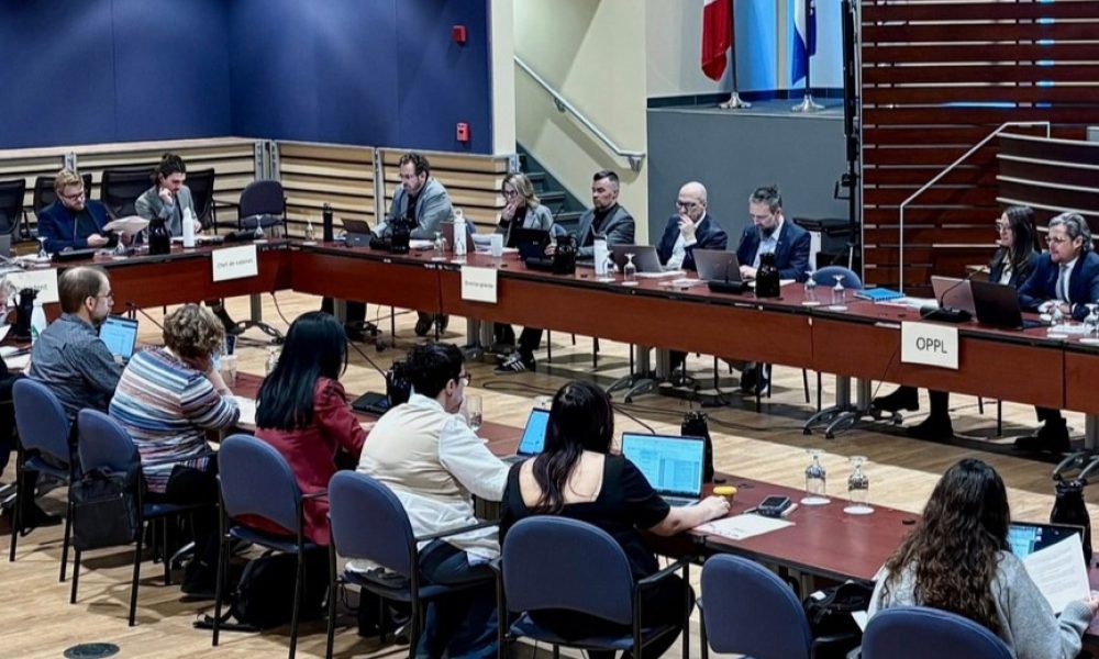 r consultation OPPL itinérance majorité insécurité situation global rapport citoyens groupes présidente hiver partie solution