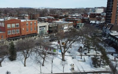 glace,neige,ménage,résident,élus,opérations,trottoirs,scurité,marcheurs,secteur,gels,ouverture,niveau,sorte,dénonce,maire,soucis,eau