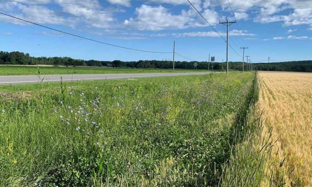 L'UPA lance un appel au prochain gouvernement fédéral