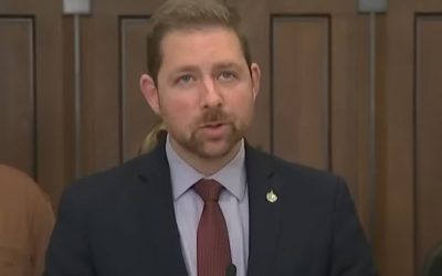 recul,majeur,pesticides,,député,nouvelle,projets,loi,sécurité,motifs,mesures,industrie,gouvernement,dérives,raison,parti