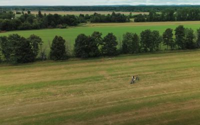 agriculteurs,rapport,union,producteurs,pratiques,cadre,organisation,gouvernement