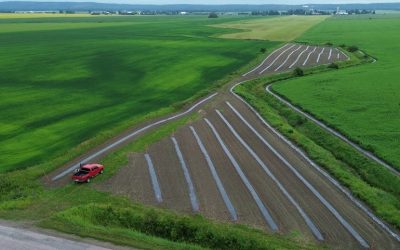 monde,union,producteurs,agricole,gestes,ministre,carbone,tarifications,institutions,publiques,aliments,relève,secteur,territoire,président,sécurité,amputé,dollars