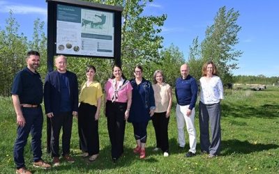Boucherville,terme,boisé,ville,protection,espace,hectares,dollars,climatique,gouvernement,hausse,espèce,terrain,base,corridor,action,nature
