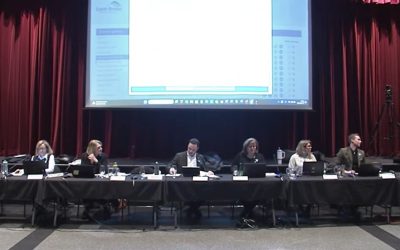 Saint-Bruno,commerce,construction,PPCMOI,absence,îlot,aire,isolement,projet,consultation,conseil,projets,autoriser,feu,vert,immeuble,immobilier,cadre,allées,cases