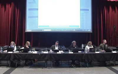 Saint-Bruno,commerce,construction,PPCMOI,absence,îlot,aire,isolement,projet,consultation,conseil,projets,autoriser,feu,vert,immeuble,immobilier,cadre,allées,cases