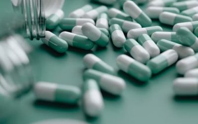 Article: Importante saisie de stupéfiants par le SPAL